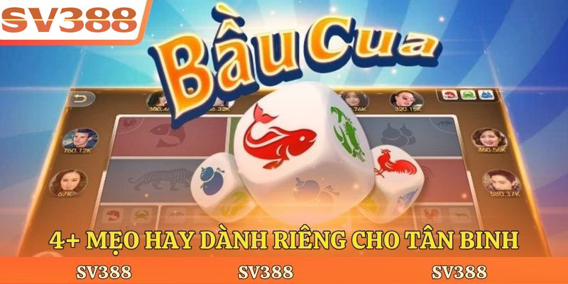 4+ mẹo hay dành riêng cho tân binh