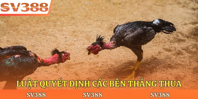 Luật quyết định các bên thắng thua