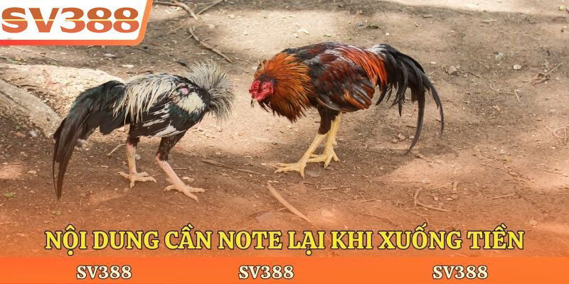 Nội dung cần note lại khi xuống tiền