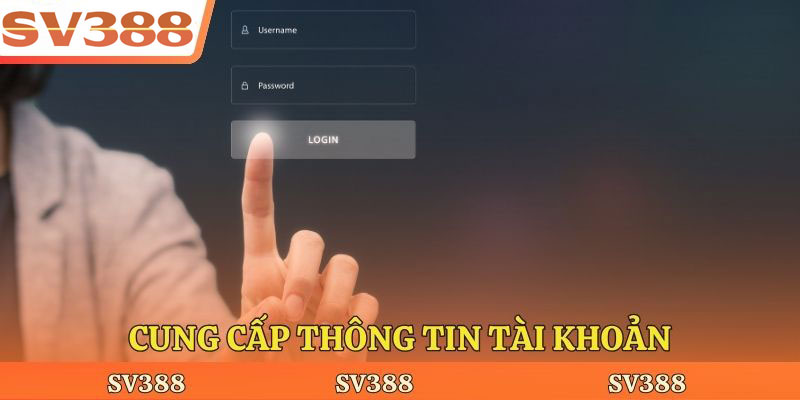 Cung cấp thông tin tài khoản