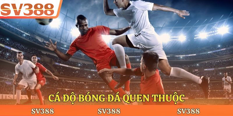 Cá độ bóng đá quen thuộc